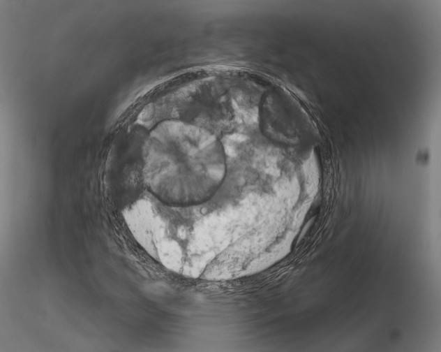X0000115091255200912081226