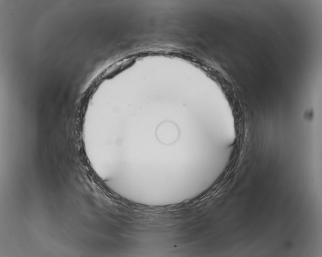 X0000115091256200912081226