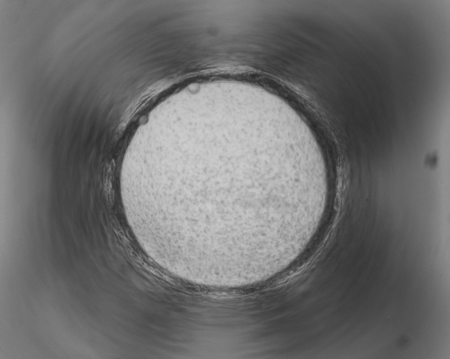 X0000115091257200912081226
