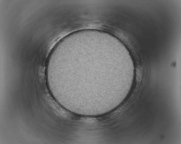 X0000115091260200912081226