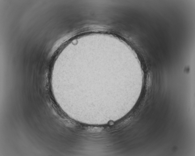 X0000115091261200912081226