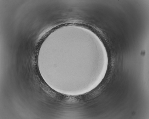 X0000115091263200912081226