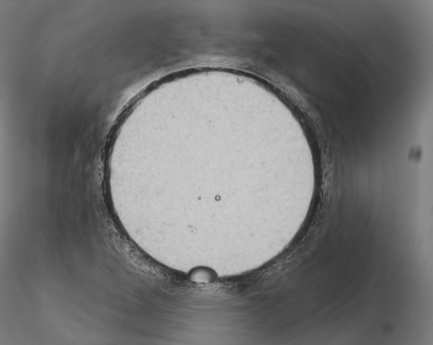 X0000115091264200912081226