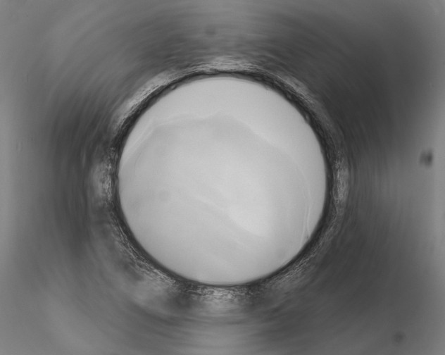 X0000115091266200912081226