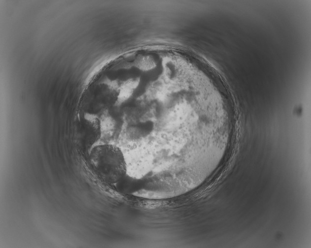 X0000115091267200912081226