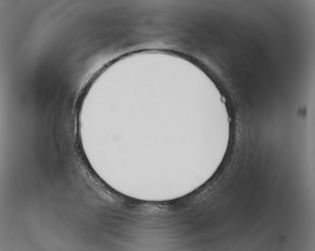 X0000115091270200912081226