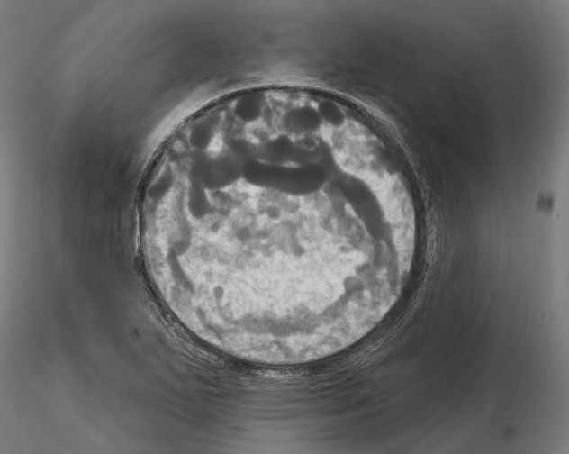 X0000115091271200912081226