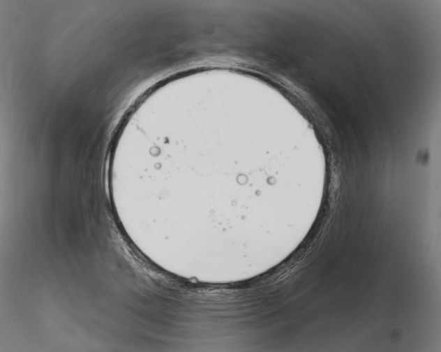 X0000115091272200912081226