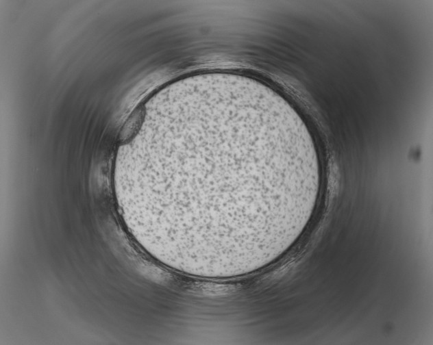X0000115091273200912081226