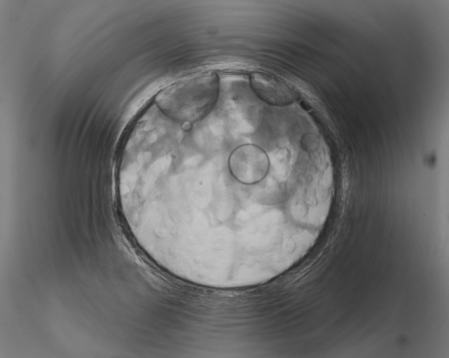 X0000115091274200912081226