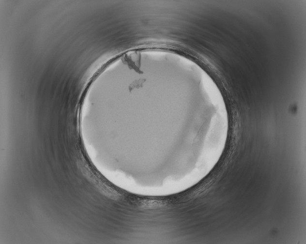 X0000115091275200912081226