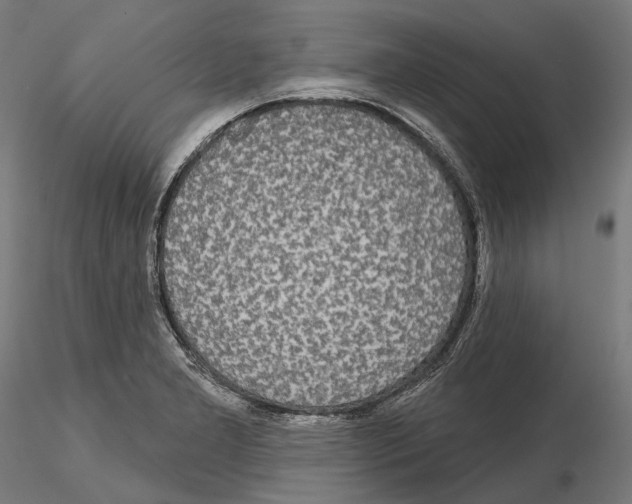 X0000115091277200912081226
