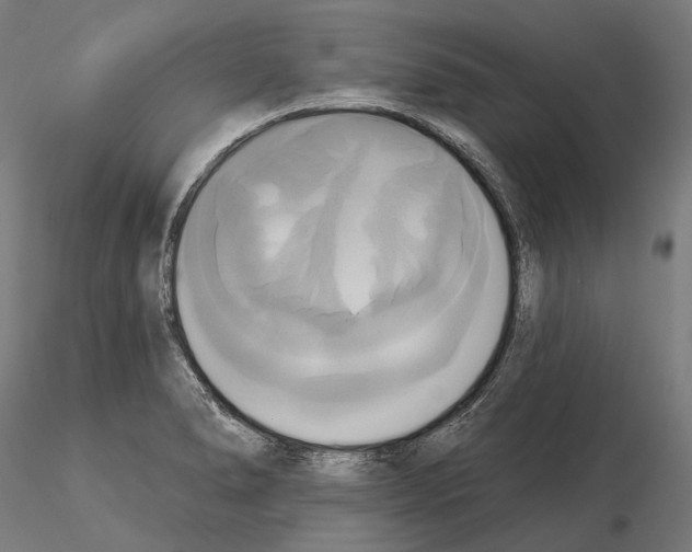X0000115091278200912081226