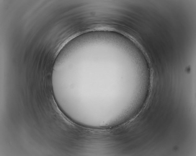 X0000115091281200912081226