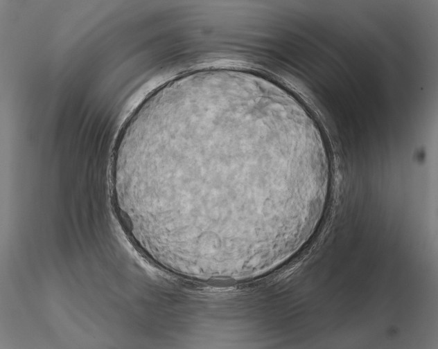 X0000115091282200912081226
