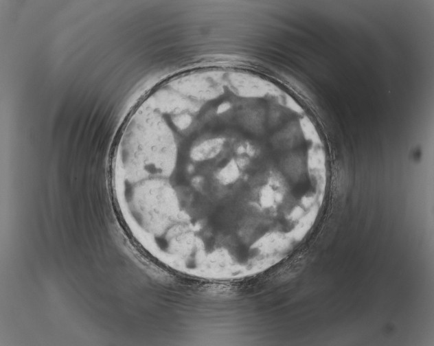 X0000115091283200912081226