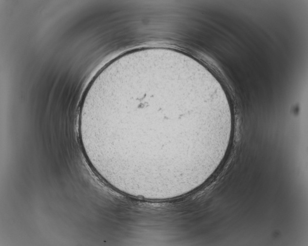X0000115091284200912081226