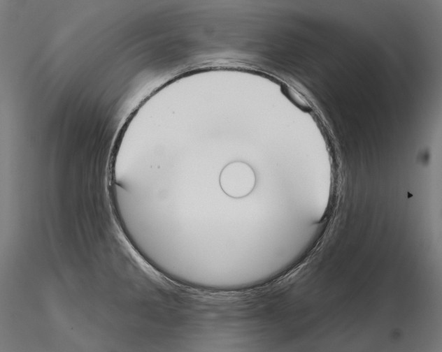 X0000115091285200912081226