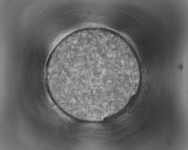 X0000115091287200912081226