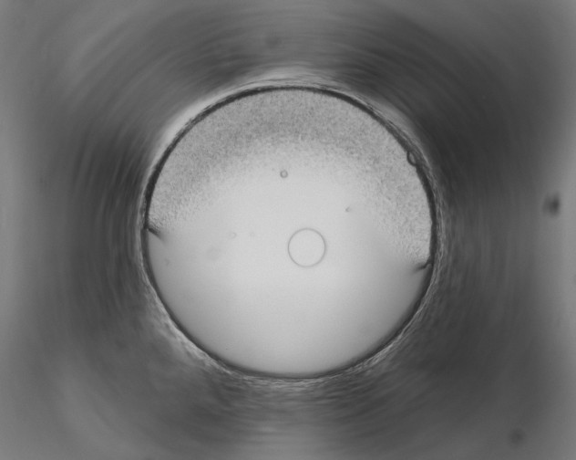 X0000115091288200912081226
