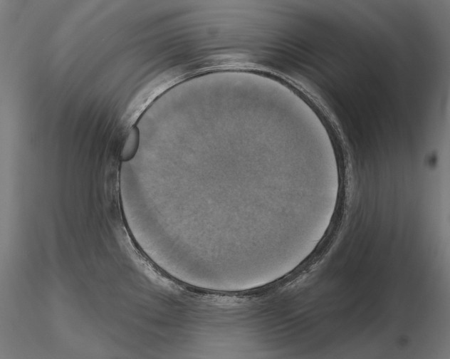 X0000115091289200912081226