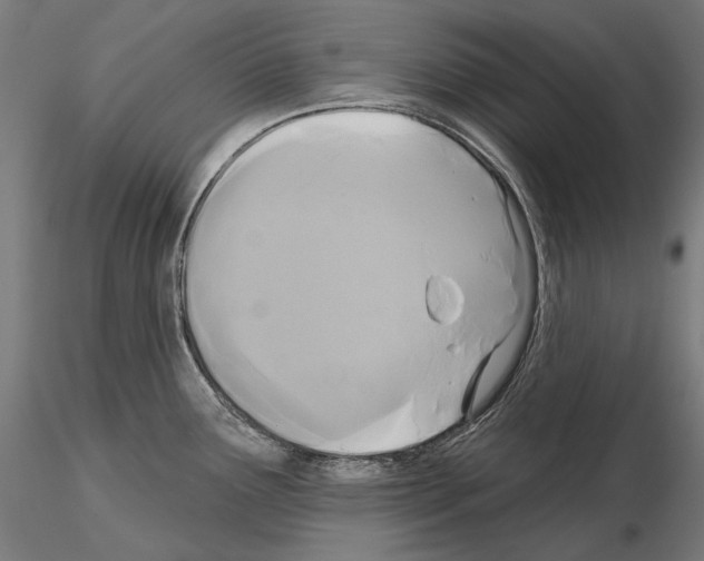 X0000115091291200912081226