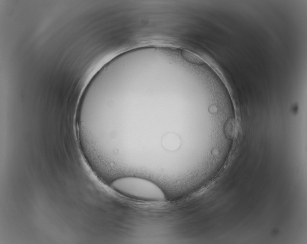 X0000115091293200912081226