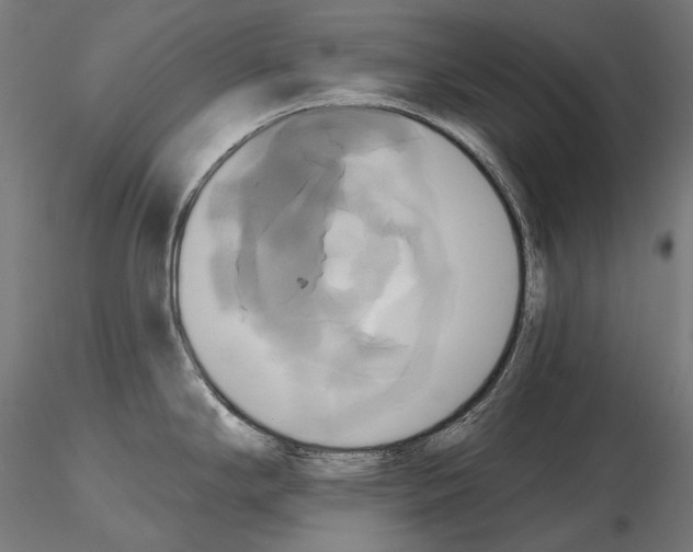 X0000115091294200912081226