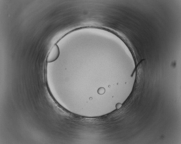 X0000115091295200912081226