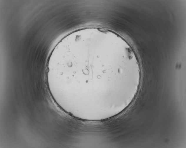 X0000115091296200912081226