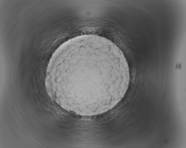 X0000115091297200912081225