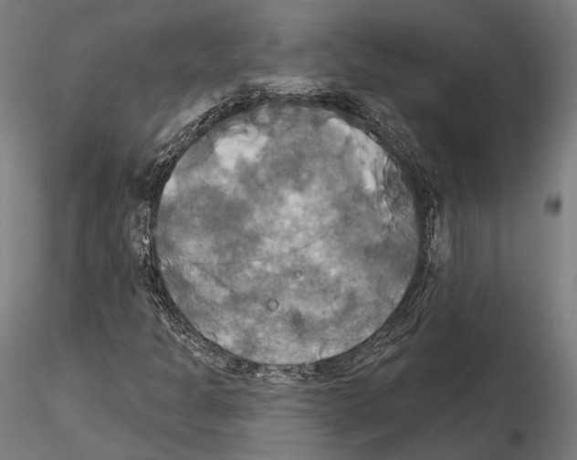 X0000115091301200912081225
