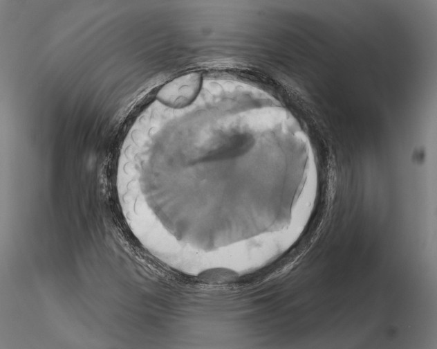 X0000115091305200912081225