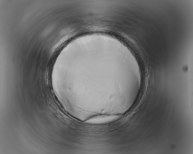 X0000115091306200912081225