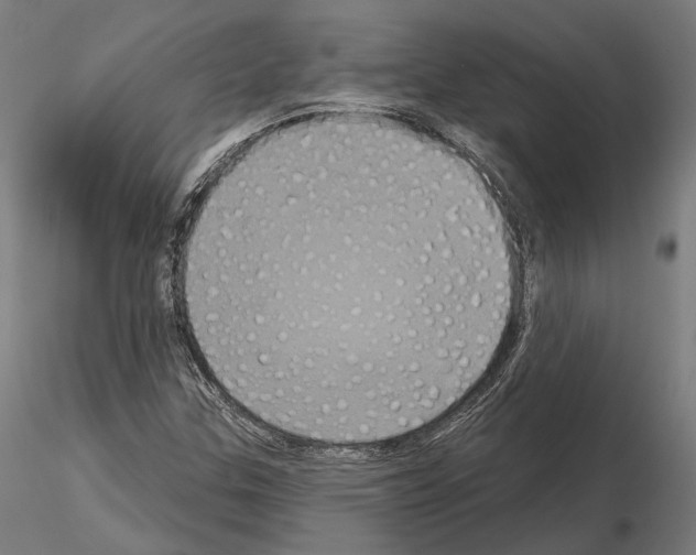 X0000115091307200912081225