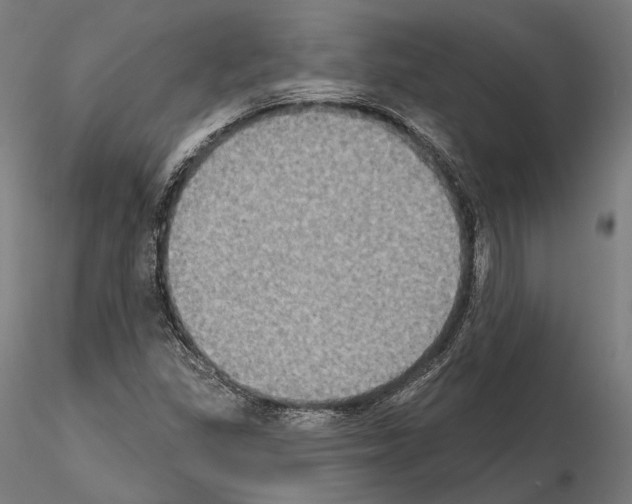 X0000115091309200912081225