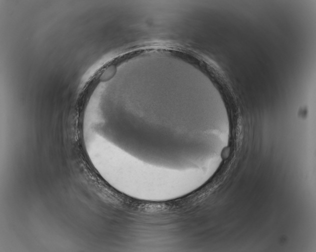 X0000115091310200912081225