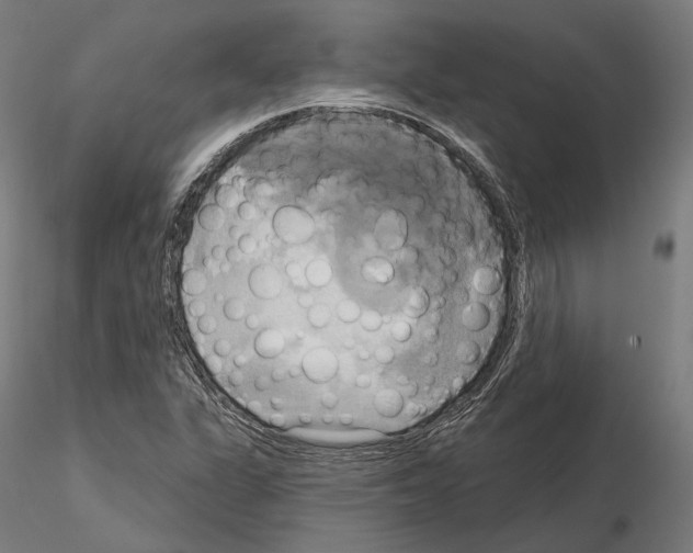 X0000115091311200912081225