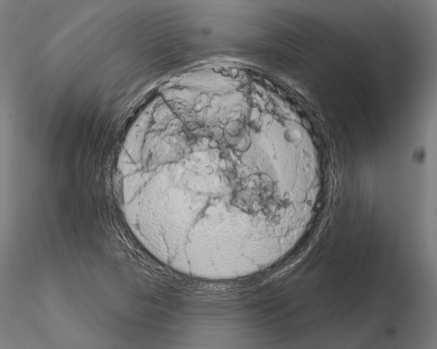 X0000115091313200912081225