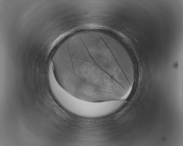 X0000115091314200912081225