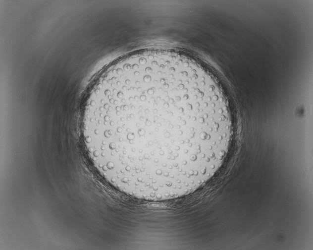 X0000115091315200912081225