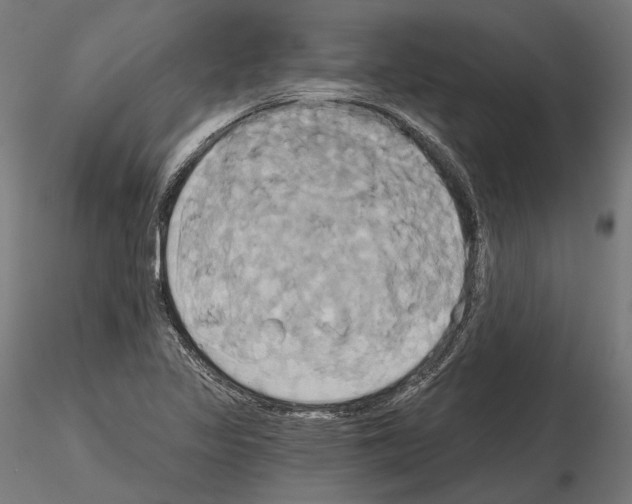 X0000115091317200912081225