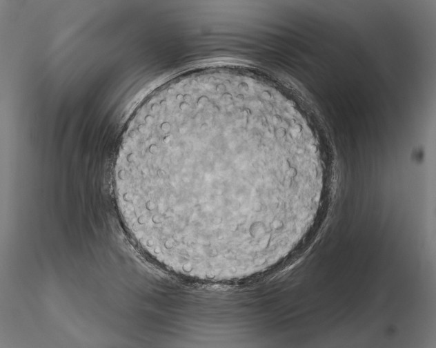 X0000115091321200912081225