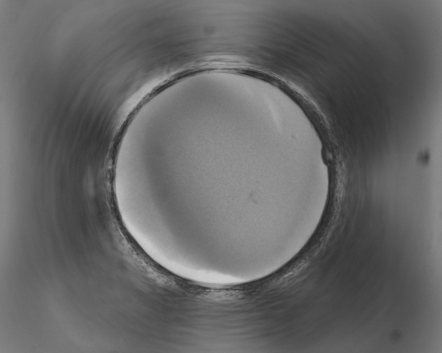 X0000115091325200912081225