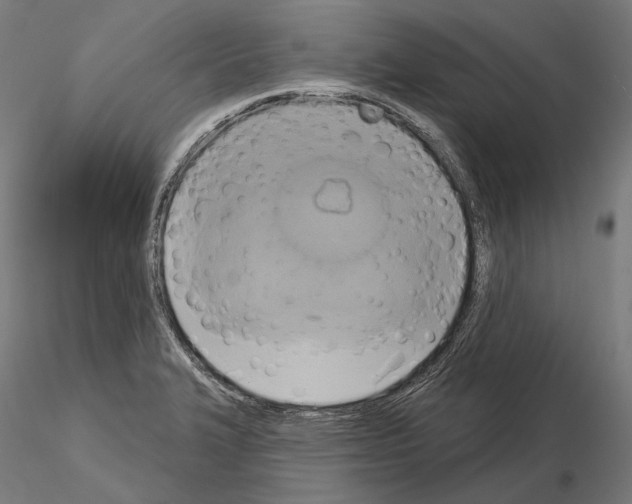 X0000115091327200912081225