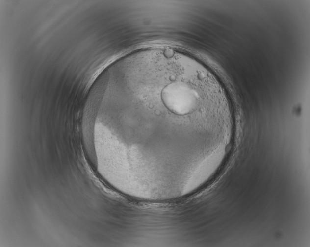 X0000115091329200912081226