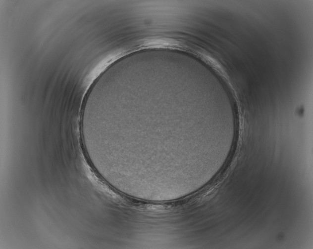 X0000115091330200912081226