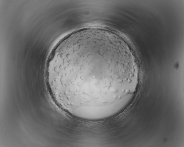 X0000115091331200912081226