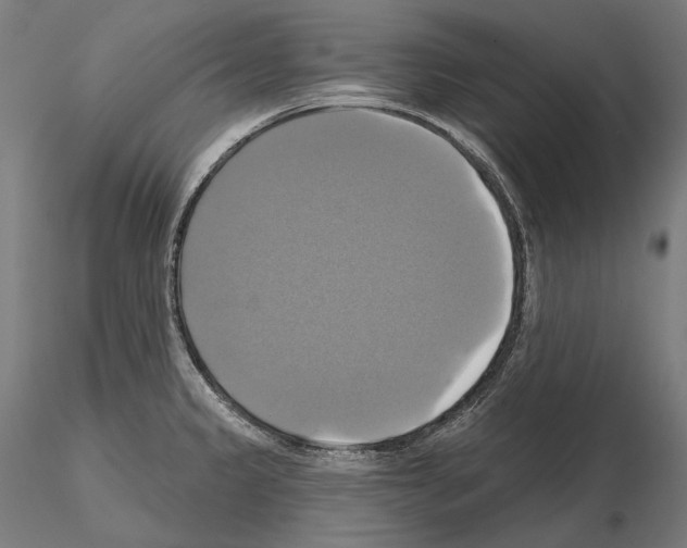X0000115091333200912081226