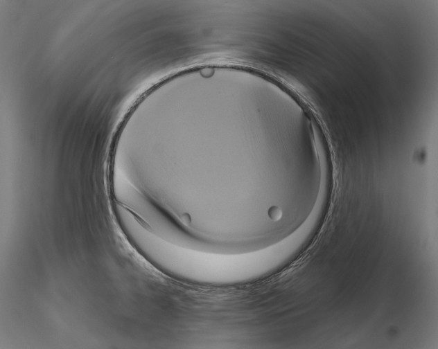X0000115091334200912081226